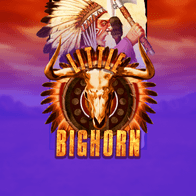 Little Big Horn game icon