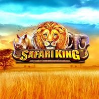 Safari King game thumbnail